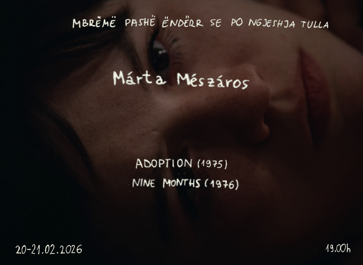 I Was Pressing Bricks in My Dreams Last Night - Adoption and Nine Months by Márta Mészáros at Kino Armata